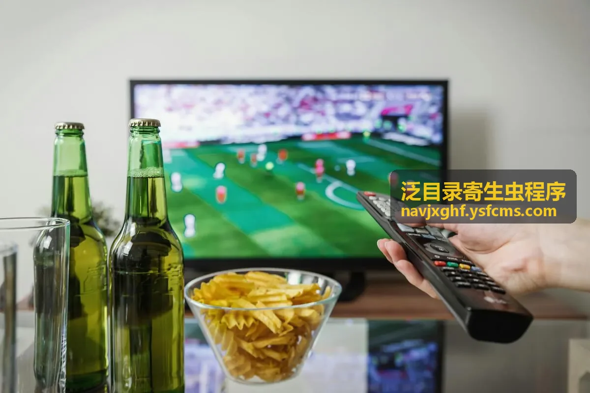 泛目录站群程序异常目录检查示意